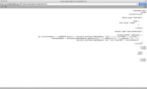 Jan Robert Leegt: Source Code Mirroring Itself .com, 2013