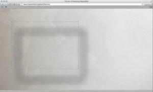 Jan Robert Leegt: The Act of Selecting Objectified .com, 2014